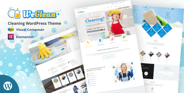 We Clean v4.0 - Cleaning WordPress